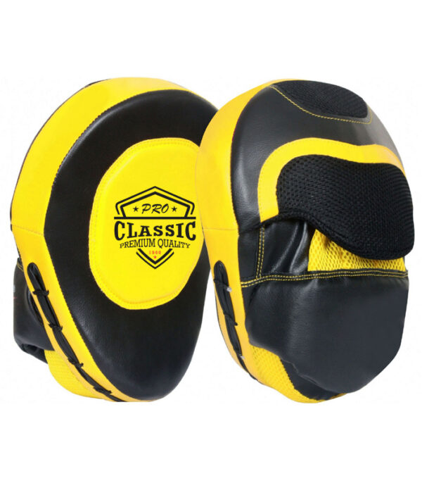 Custom focus mitts with logo - OEM boxing gear manufacturer