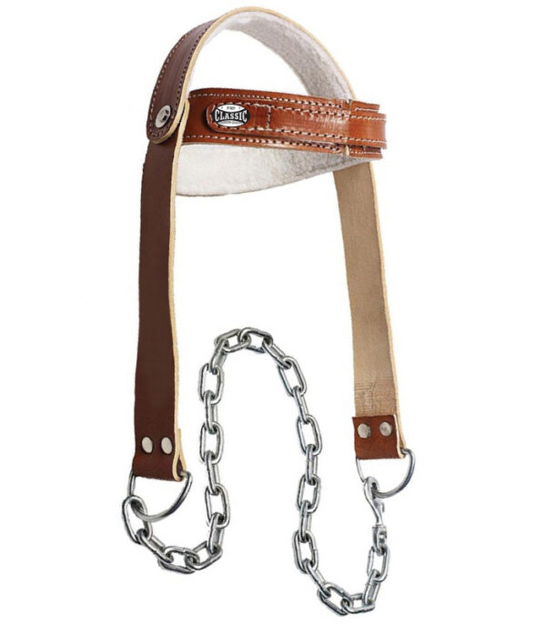 Custom Neck Harness for Weight Training - Manufacturer & Wholesale Supplier