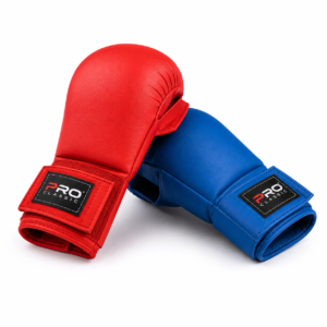 Karate Gloves