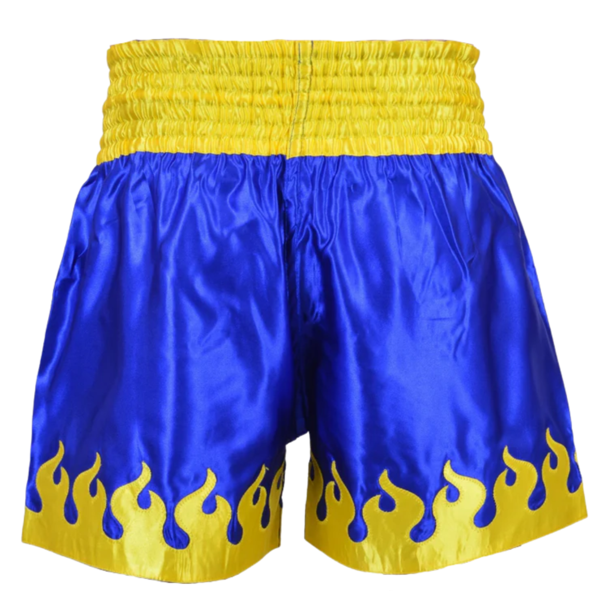 Kickboxing Fight Shorts | Custom OEM & Private Label 2 Back view of kickboxing fight shorts featuring custom sublimation, reinforced stitching, athletic fit, and OEM private label manufacturing.