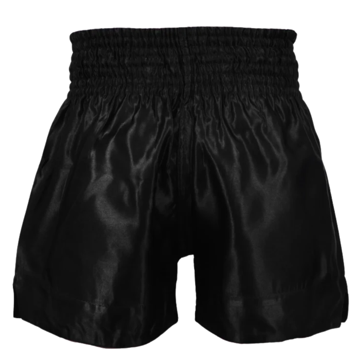 Professional Kickboxing Shorts | Premium OEM & Private Label 2 Back view of professional kickboxing shorts featuring custom sublimation artwork, reinforced stitching, athletic fit, and OEM private label manufacturing.